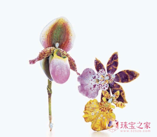 tiffany蘭花胸針