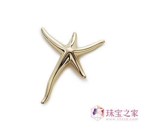 夏日金彩 蒂芙尼K金胸針