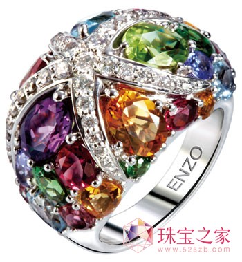 ENZO(jng)ʌϵкϵ