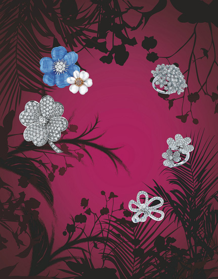 不朽的經典花卉 不朽的經典花卉