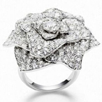 ȫPIAGET ROSEϵչ݂õ
