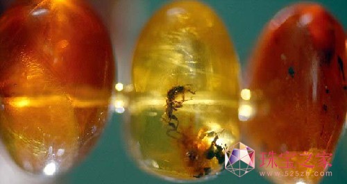 四千萬年前琥珀所串項鏈將拍賣 估價1萬英鎊