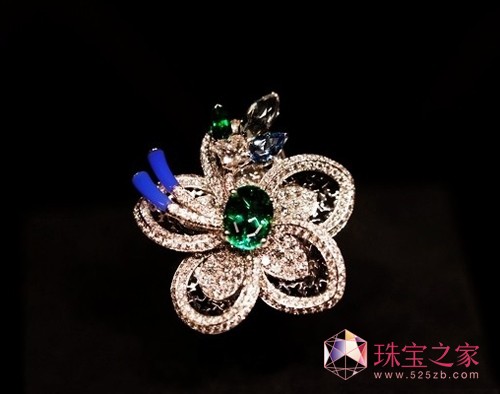 ··Ǹ߼錚 Fleurs d’Eternitéϵ (Z飬֮