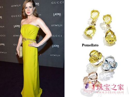 ʮŮǽΑ(yng)yc(din)錚Amy Adams