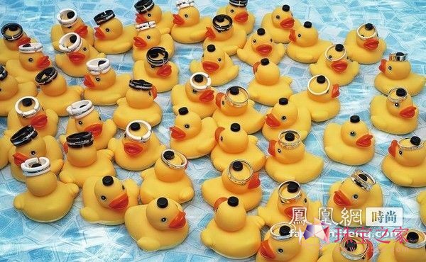 錚홻 o