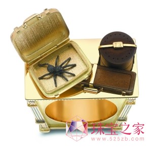 華麗外表下：小戒指暗藏大世界