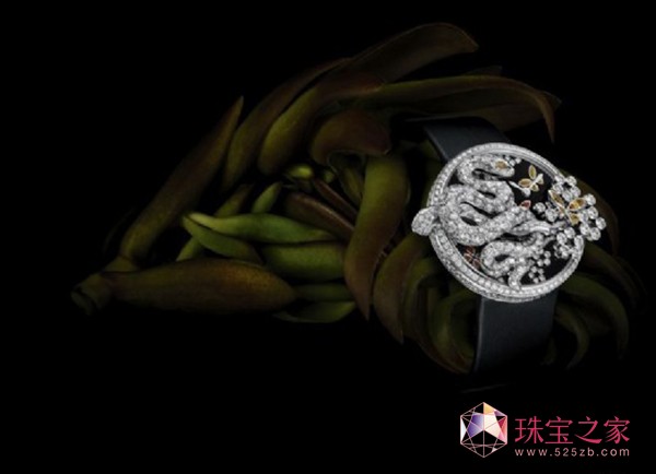 “犱cE”չ ؁ȫ