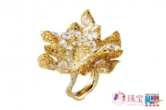 CINDY CHAOˇg錚 Gǹ