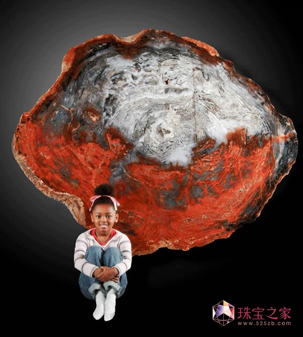 2014中國國際珠寶展暨北京國際礦物展