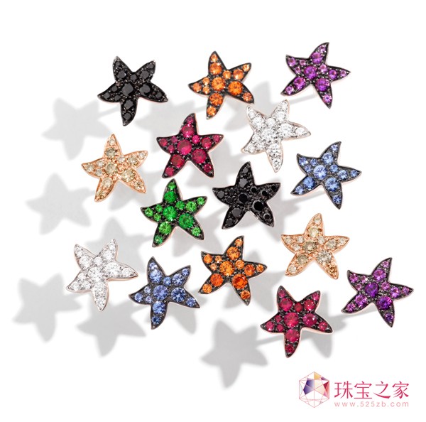 DODO都都“星效應” 經典海星 絢爛新生