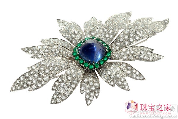JEWELVARY & PICCHIOTTI eʽ錚bp