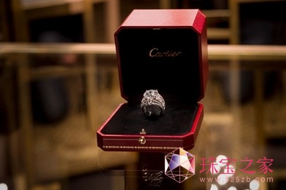 ؁ȫƳ@ʯϵ΢ӰDiamonds