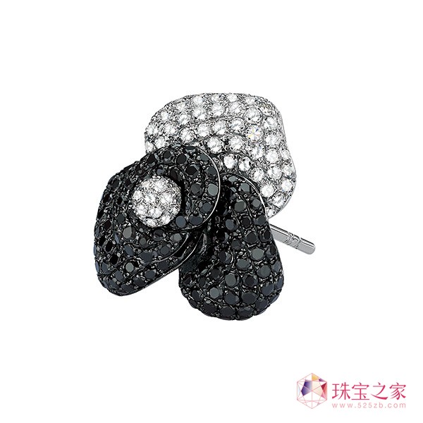 Aster Ma ߼錚Ʊ҃(yu)ņĻ