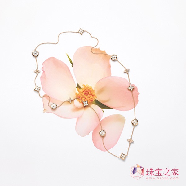 ·ȫBlossom ϵ錚