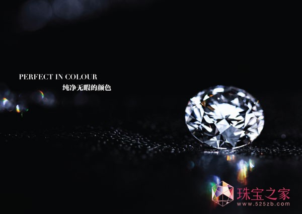 @ʯ | NEW VISION30ȫO(sh)ӋxĻ