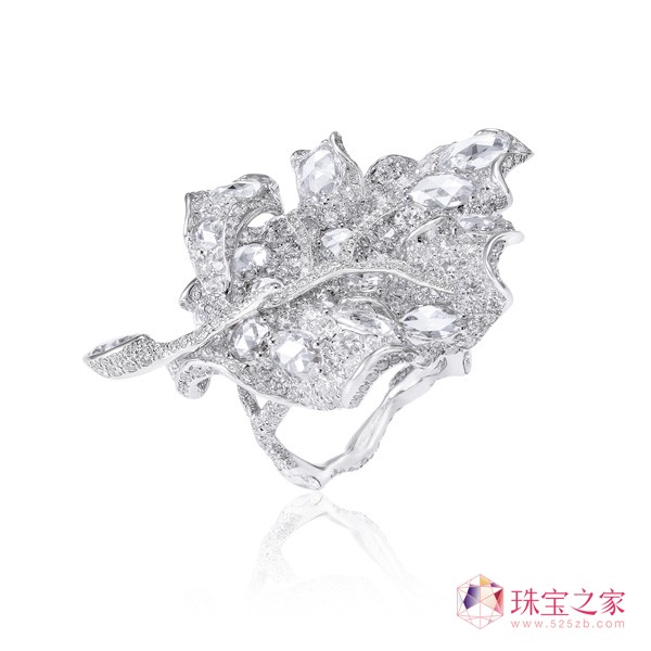 白百何配戴CINDY CHAO藝術(shù)珠寶閃耀華表獎(jiǎng)