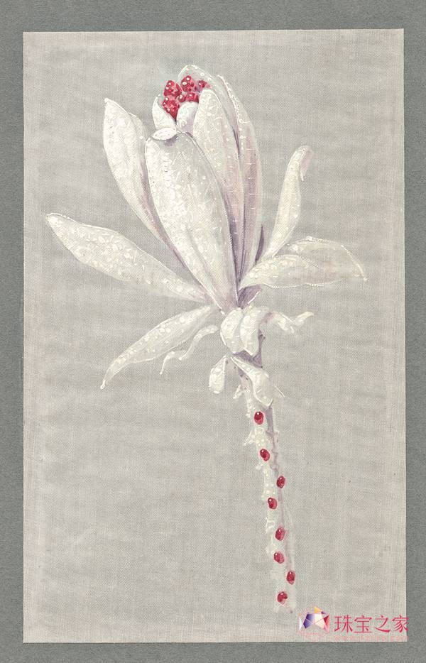 Ȼ` La Nature de CHAUMET߶錚l(f)