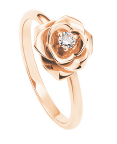 Piaget RoseGõ`Ϧ