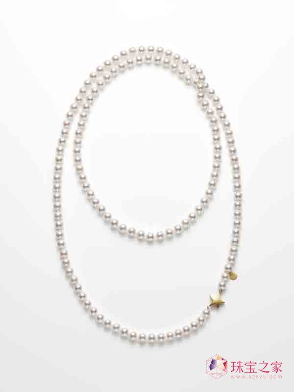 crײ Tasaki׌ɞr錚