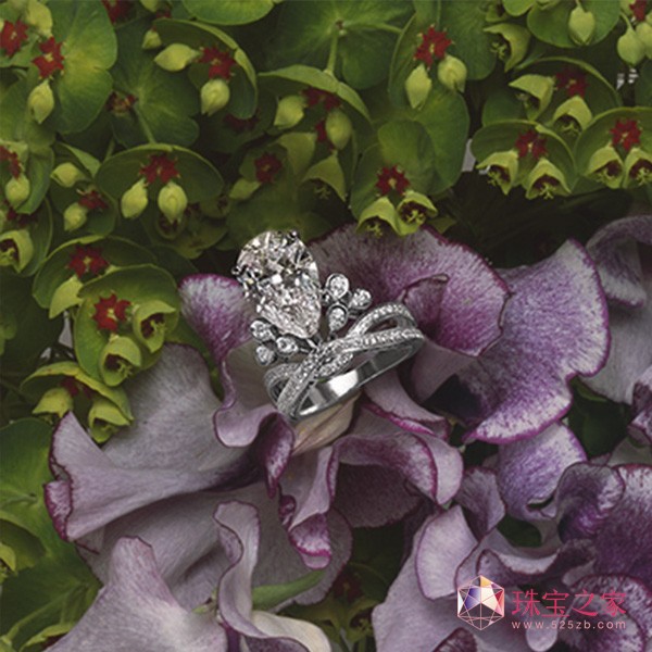 CHAUMET 2016Ϧ˹Y]