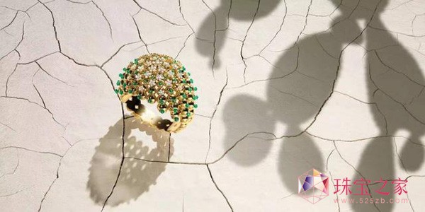 ؁Cactus de Cartier ϵʢľ`