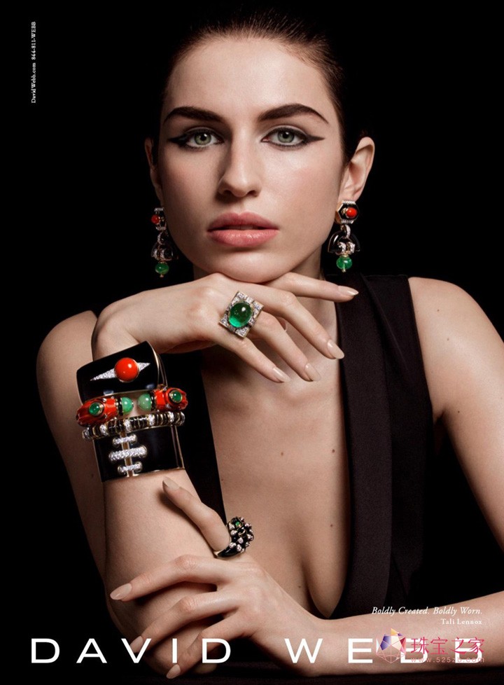 David Webb 2016ﶬϵЏVƬ