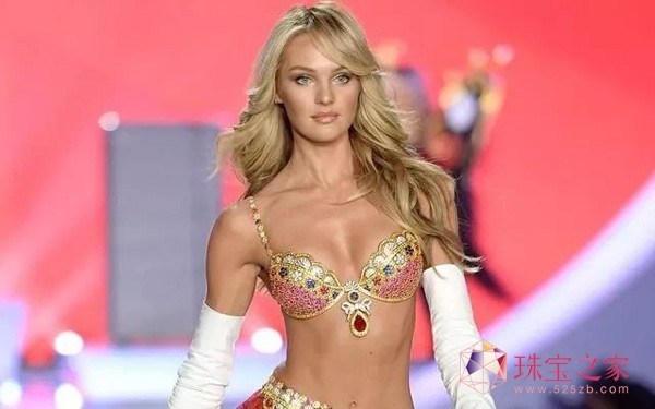 ϺҊ Victoria's Secret Fashion Show rнġW˹