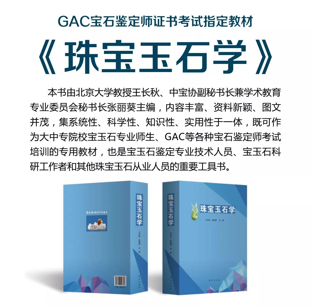 2019ЇH錚չI򡪡GAC錚ƽչF˽